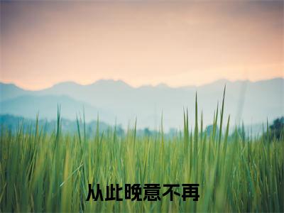 迟晚意宋淮止白清欢小说（从此晚意不再）前文+全本完整阅读预售作品抢先看