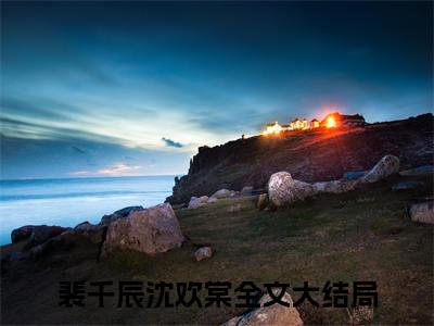 裴千辰沈欢棠（月光遥寄相思错）全文免费阅读无弹窗_（月光遥寄相思错小说全文免费阅读）裴千辰沈欢棠最新章节列表笔趣阁