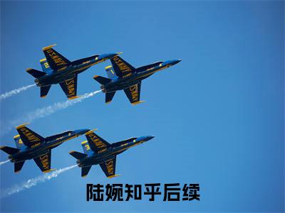 精选热门小说陆婉（穿成五零年末早死路人甲）-（穿成五零年末早死路人甲）陆婉免费阅读