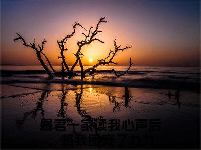 新章速递暴君一家读我心声后，将我团宠了九九小说小说结尾阅读无广告（暴君一家读我心声后，将我团宠了九九）