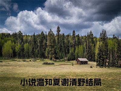 温知夏谢清野（此后余生皆孤寂）全文免费阅读无弹窗无删减_小说（温知夏谢清野）此后余生皆孤寂最新章节列表笔趣阁