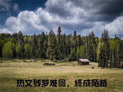 残梦难回，终成陌路小说章节目录+序章（肖承泽白若溪）全书畅享在线