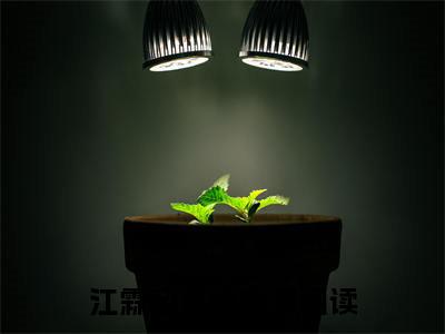 沧海月明鲛有泪（江霖蓝月明）结局+番外抖音新书_（沧海月明鲛有泪）江霖蓝月明最新章节列表