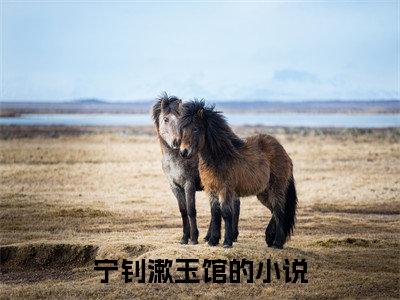 宁钊漱玉馆：念念春风知我意结局+番外(宁钊漱玉馆)全文免费阅读无弹窗结局_宁钊漱玉馆+结局最新章节列表_笔趣阁（宁钊漱玉馆：念念春风知我意结局+番外）