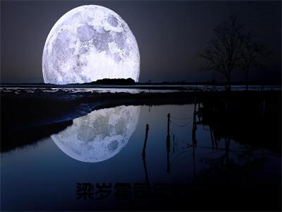 （似月光吻野风）似月光吻野风小说(梁岁霍司年)无套路无弹窗全部章节列表