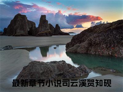 司云溪贺知砚后续+番外（司云溪贺知砚）全文免费阅读无弹窗大结局_（司云溪贺知砚后续+番外）司云溪贺知砚免费阅读无弹窗最新章节列表（司云溪贺知砚后续+番外）
