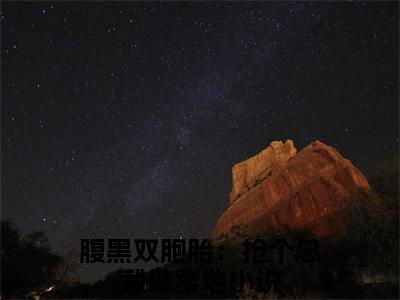 程海安陆一琛：腹黑双胞胎：抢个总裁做爹地：全文+结局+番外最新章节列表_笔趣阁（腹黑双胞胎：抢个总裁做爹地：程海安陆一琛：全文+结局+番外）