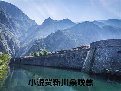 贺靳川桑晚意小说完本章节前文+全篇阅读（贺靳川桑晚意）连载中