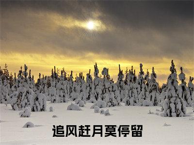 追风赶月莫停留附加(追风赶月莫停留)（沈墨寒叶晚宁）全本浏览阅读连载中
