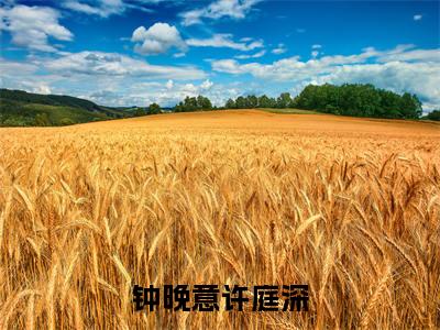 （钟晚意许庭深）：+后续+番外 爱恨痴缠终落空后续全本浏览阅读