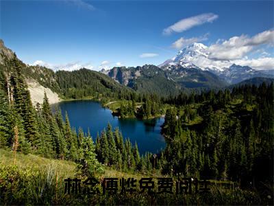 清梦染星河小说（林念傅烨）前文+全本完整阅读预售作品抢先看