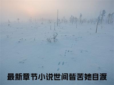 陆瑾尧沈枝意完本(世间皆苦她自渡)（世间皆苦她自渡）前传+整本阅读全新作品预订