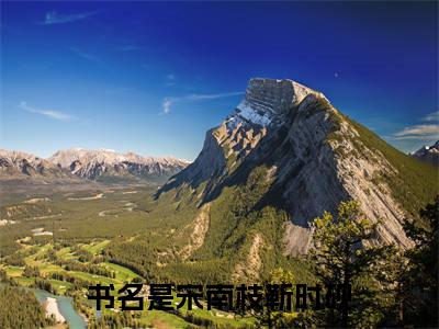 他对自己从来都没有一丝一毫的真心小说(宋南枝靳时砚)序章+全章阅读（他对自己从来都没有一丝一毫的真心）最新章节