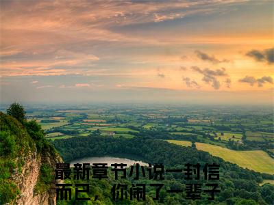 一封信而已，你闹了一辈子佟月笙韩在野终章（佟月笙韩在野）完整章节列表_笔趣阁