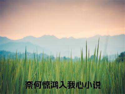 段知许江疏桐：全文+后续（奈何惊鸿入我心）全文最新免费阅读无弹窗_段知许江疏桐：全文+后续精选章节小说阅读_笔趣阁（奈何惊鸿入我心）