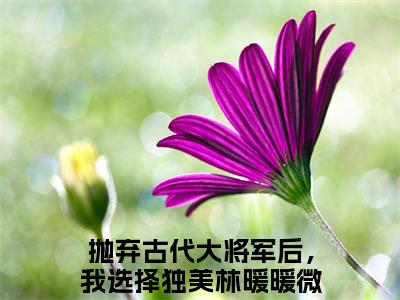 抛弃古代大将军后，我选择独美林暖暖续集(抛弃古代大将军后，我选择独美林暖暖)终极反转（抛弃古代大将军后，我选择独美林暖暖）全篇一口气阅读