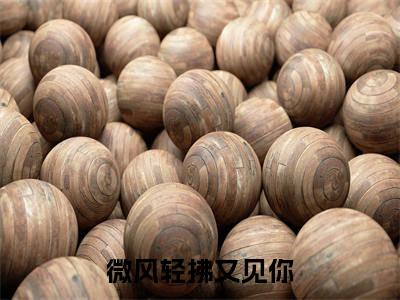 林书意陆沉最新章节（微风轻拂又见你）全文免费阅读无弹窗大结局_微风轻拂又见你免费阅读