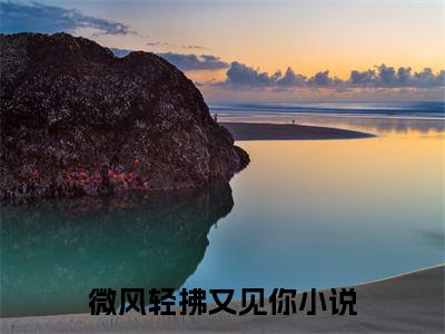 林书意陆沉(微风轻拂又见你)小说全集在线下载_章节前文+后续（林书意陆沉）