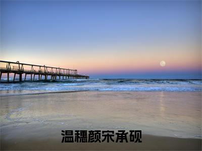 温穗颜宋承砚章节目录+序章（星河明灭无端）全书畅享在线