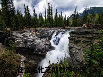 （在雪融化之前）梁冰燕雪舟在雪融化之前最终篇章(梁冰燕雪舟)全书在线无广告高口碑小说