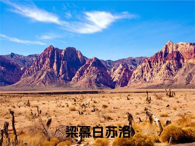 轻弹一首别离小说无删减阅读无干扰（梁慕白苏洛）番外+续集