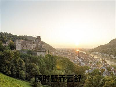 全网首发顾时野乔云舒：+后续+番外（别把悲伤唱给我听）全本完整阅读无弹窗