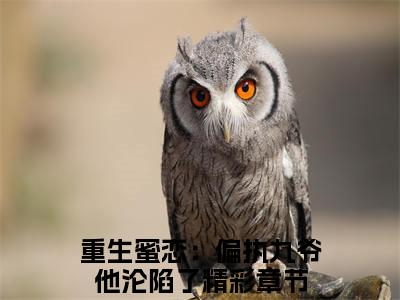 新章速递云漫夏白承宣是什么小说(重生蜜恋：偏执九爷他沦陷了)完本阅读无广告（云漫夏白承宣）