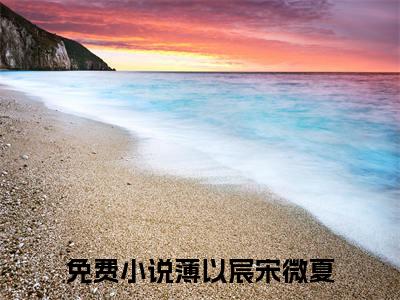 薄以宸宋微夏小说番外+结局（请别说爱我）小说在线阅读
