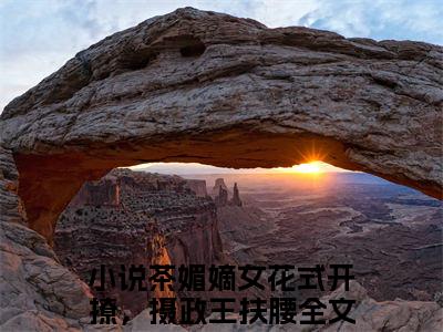 白清欢池暝完结篇(茶媚嫡女花式开撩，摄政王扶腰)章节：结局+番外评价五颗星