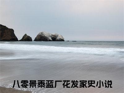 八零景泰蓝厂花发家史续集(八零景泰蓝厂花发家史)终极反转（赖鑫陆青予）全篇一口气阅读