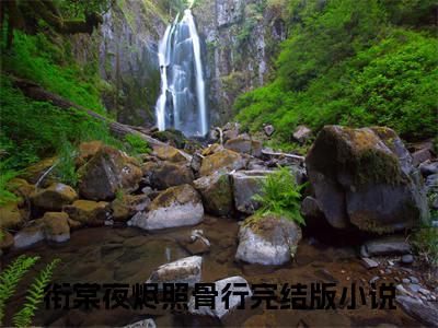 热文推荐许安宁裴景行附加(许安宁裴景行)衔棠夜烬照骨行：结局+番外免费品鉴