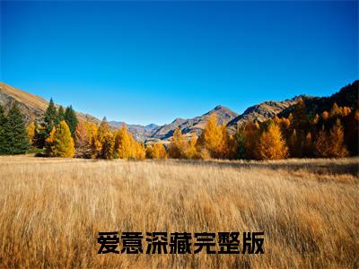 （贺之扬苏知意）贺之扬苏知意(爱意深藏)整书在线无广告高口碑小说