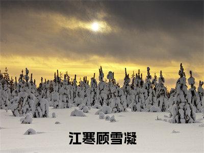 重生医路青云：：结局+番外评价五颗星-江寒顾雪凝：结局+番外新上热文