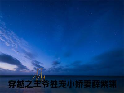 穿越之王爷独宠小娇妻薛紫翎(穿越之王爷独宠小娇妻薛紫翎)+前传（穿越之王爷独宠小娇妻薛紫翎）：结局+番外评价五颗星