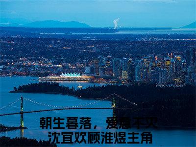 朝生暮落，爱意不灭 沈宜欢顾淮煜：：结局+番外评价五颗星-朝生暮落，爱意不灭 沈宜欢顾淮煜：结局+番外新上热文