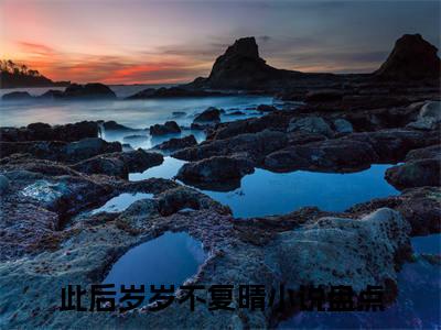 沈暖晴陆时衍后续(此后岁岁不复晴)（沈暖晴陆时衍）整本畅享在线+无广告结局