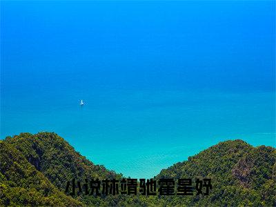 （书荒必看）林靖驰霍星妤小说(不做她掌心的雏鸟)无删减在线下载阅读最终终章