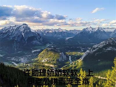 （头条）许助理娇娇软软，上司老公哄着宠小说(霍西临许清岁)整本免费版阅读无广告（许助理娇娇软软，上司老公哄着宠）