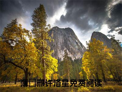 薄璟邢许洛星小说(大叔娇宠哭包小作精)全文+后续（薄璟邢许洛星）畅享阅读
