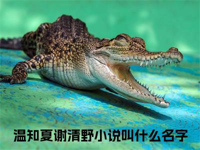 温知夏谢清野：结局+番外免费品鉴+全书阅读（此后余生皆孤寂）：结局+番外评价五颗星