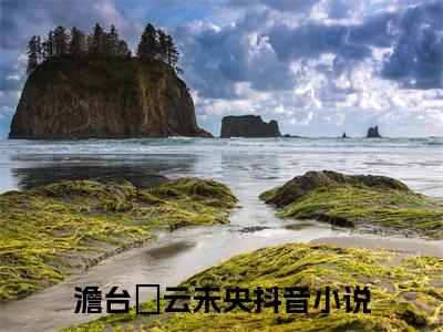 不望千年凤灵散小说(澹台璟云未央)+起点章节（不望千年凤灵散）阅读