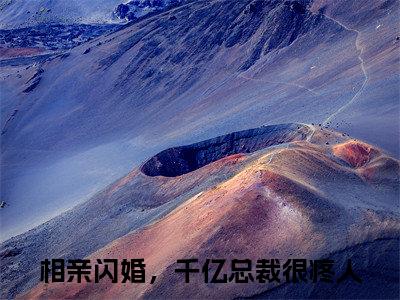 相亲闪婚，千亿总裁很疼人特别篇章节目录+章节前文（顾星辰沈凝霜）TXT清爽版在线