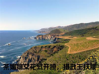 （茶媚嫡女花式开撩，摄政王扶腰）茶媚嫡女花式开撩，摄政王扶腰小说(白清欢池暝)整书在线无广告高口碑小说