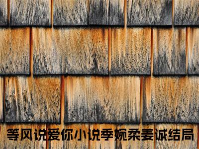（等风说爱你）季婉柔姜诚等风说爱你后续一口气无广告全书章节表