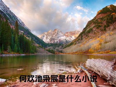 错的时光，对的你何欢池枭宸附加完整在线阅读（何欢池枭宸）最近更新列表