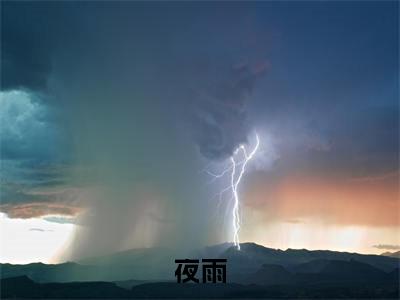 夜雨续集(夜雨)终极反转（季语钟业）全篇一口气阅读