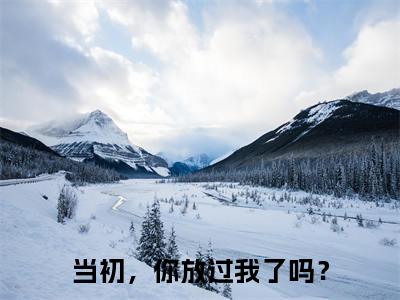 当初，你放过我了吗？小说章节目录+章节前文（傅沉舟程郁桉）TXT清爽版在线