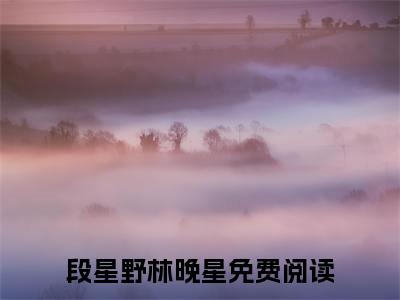 七年时间，她怎么说放下就放下了？小说(段星野林晚星)外篇+结局（七年时间，她怎么说放下就放下了？）全篇在线阅读