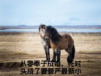 谢青霄林相宜小说(谢青霄林相宜)（八零奉子成婚，死对头成了妻管严）在线畅读+开篇大作+前传