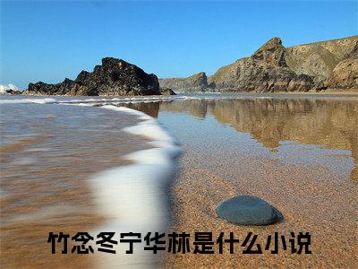 竹念冬宁华林锦书深锁春雪意小说无删减阅读无干扰（锦书深锁春雪意）番外+续集